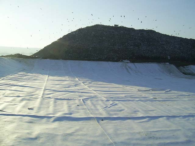 Geotextile netesute