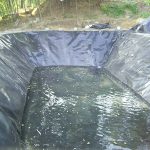 Peisagistica - Beneficiar: privat